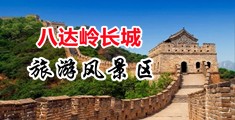 男人大鸡巴操女人逼里视频中国北京-八达岭长城旅游风景区