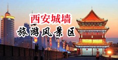 外国大鸡巴操中国女人的逼中国陕西-西安城墙旅游风景区